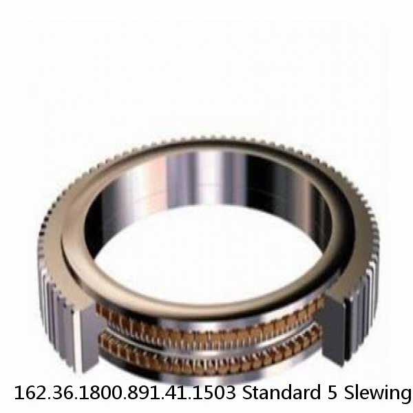 162.36.1800.891.41.1503 Standard 5 Slewing Ring Bearings