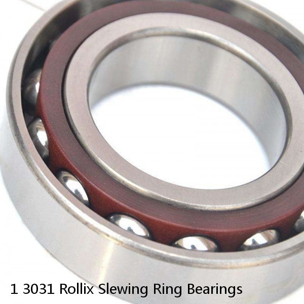 1 3031 Rollix Slewing Ring Bearings