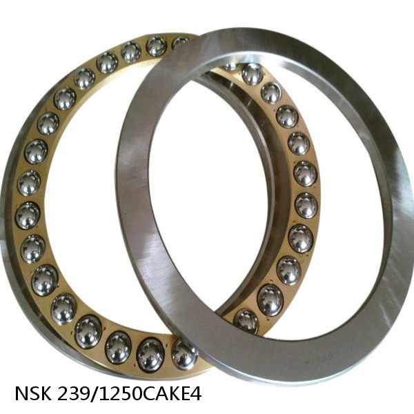239/1250CAKE4 NSK Spherical Roller Bearing