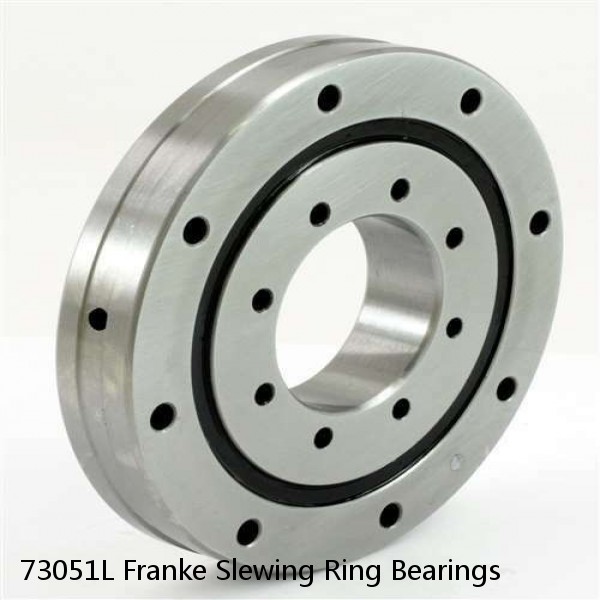 73051L Franke Slewing Ring Bearings