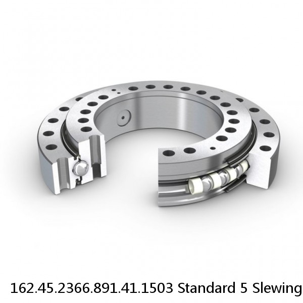 162.45.2366.891.41.1503 Standard 5 Slewing Ring Bearings