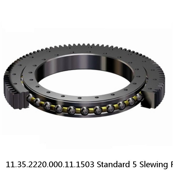 11.35.2220.000.11.1503 Standard 5 Slewing Ring Bearings