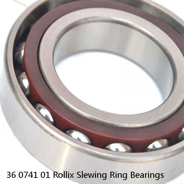 36 0741 01 Rollix Slewing Ring Bearings