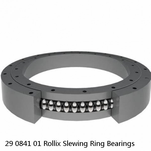 29 0841 01 Rollix Slewing Ring Bearings