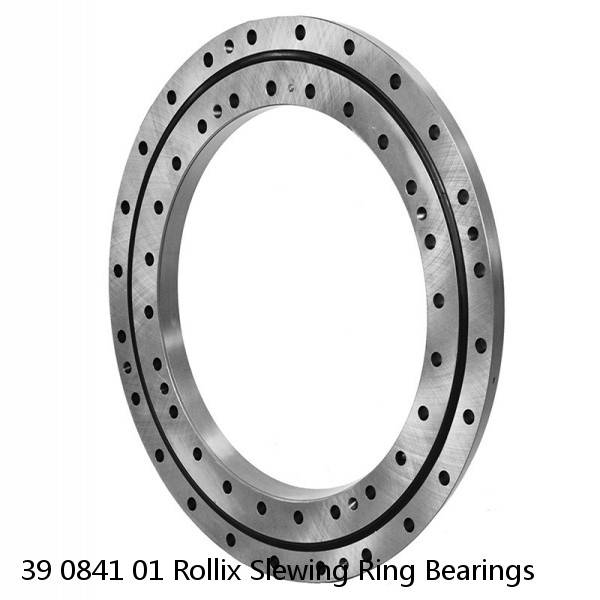 39 0841 01 Rollix Slewing Ring Bearings