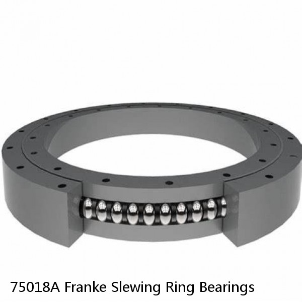 75018A Franke Slewing Ring Bearings