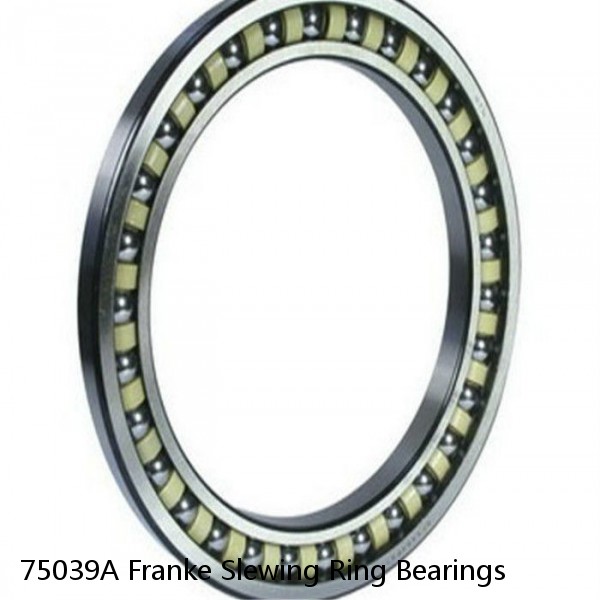 75039A Franke Slewing Ring Bearings