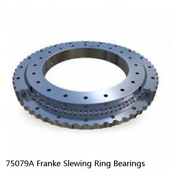 75079A Franke Slewing Ring Bearings