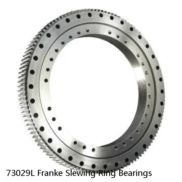 73029L Franke Slewing Ring Bearings