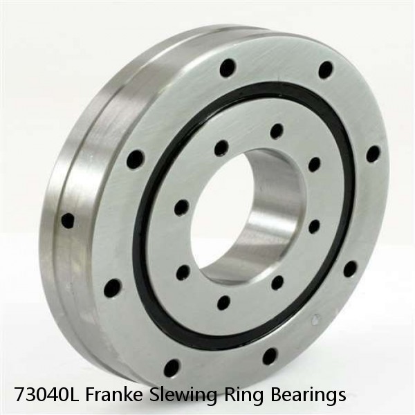 73040L Franke Slewing Ring Bearings