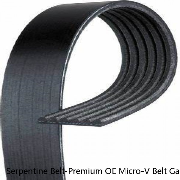Serpentine Belt-Premium OE Micro-V Belt Gates fits 05-07 Ford Focus 2.0L-L4